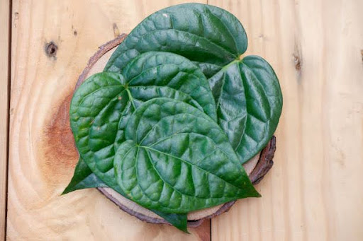 chữa đau mắt đỏ