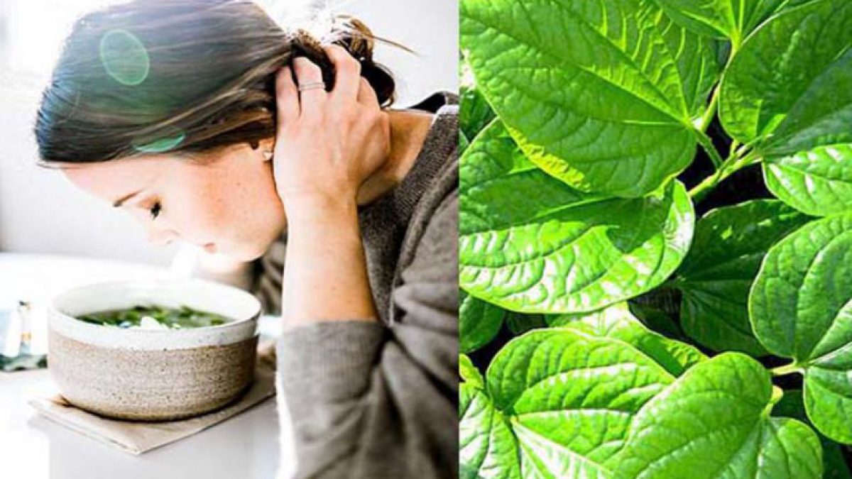 Không nên xông mắt bằng lá trầu