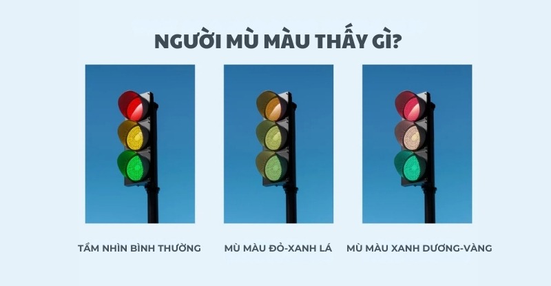 Một số dạng mù màu phổ biến